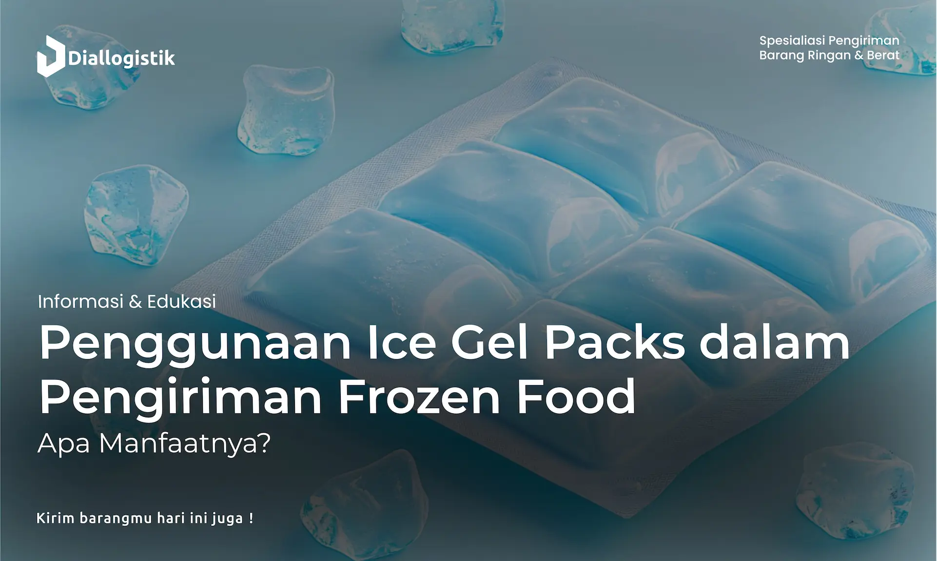penggunaan_ice_gel_packs_dalam_pengiriman_frozen_food_apa_manfaatnya